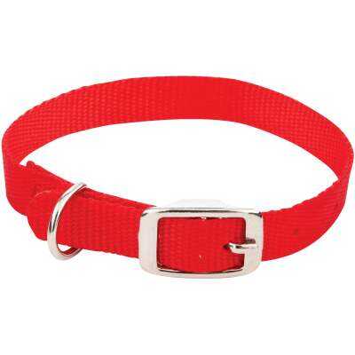 Westminster Pet Ruffin' it Adjustable 16 In. Nylon Dog Collar