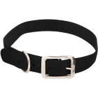 Westminster Pet Ruffin' it Adjustable 24 In. Nylon Dog Collar Image 1